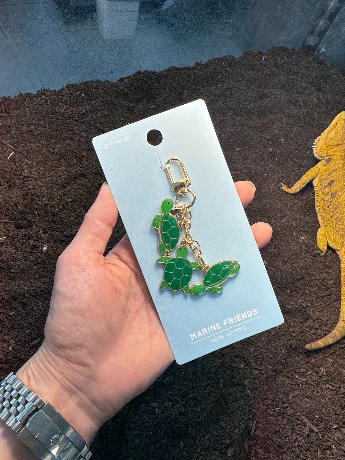 釜山水族館限定・海龜鑰匙圈