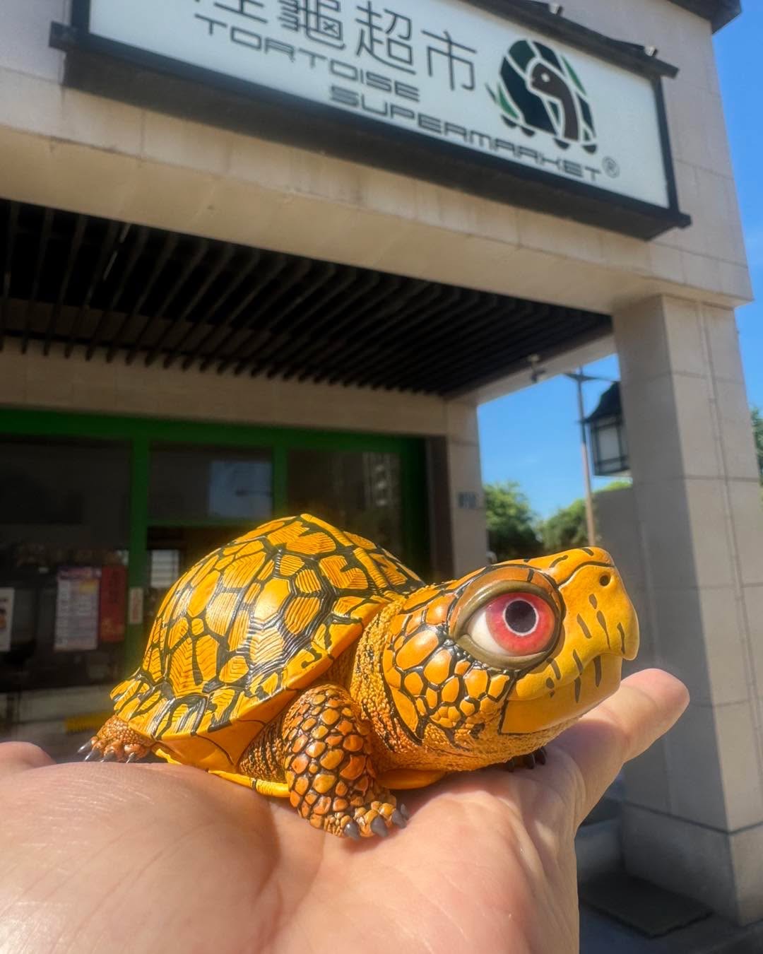 東部箱龜雕塑作品