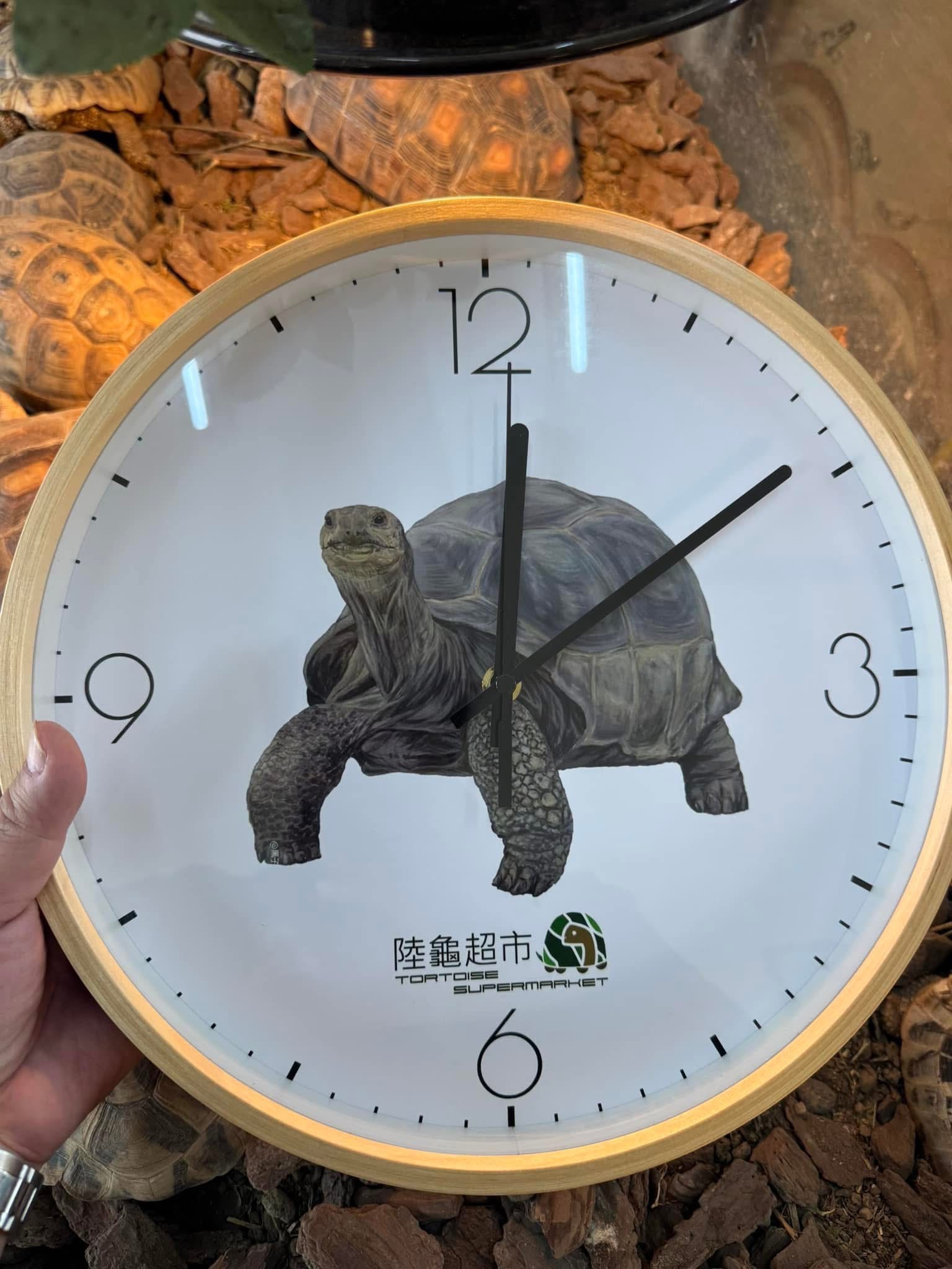 陸龜超市限定亞達伯拉鐘
