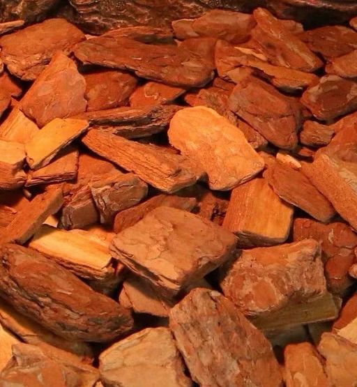 陸龜最佳底材（松樹皮墊高溫殺菌）