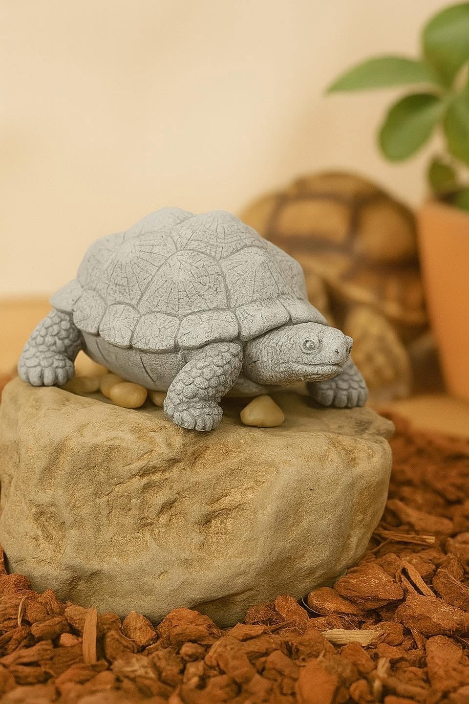 岩沙龜｜磨喙小幫手