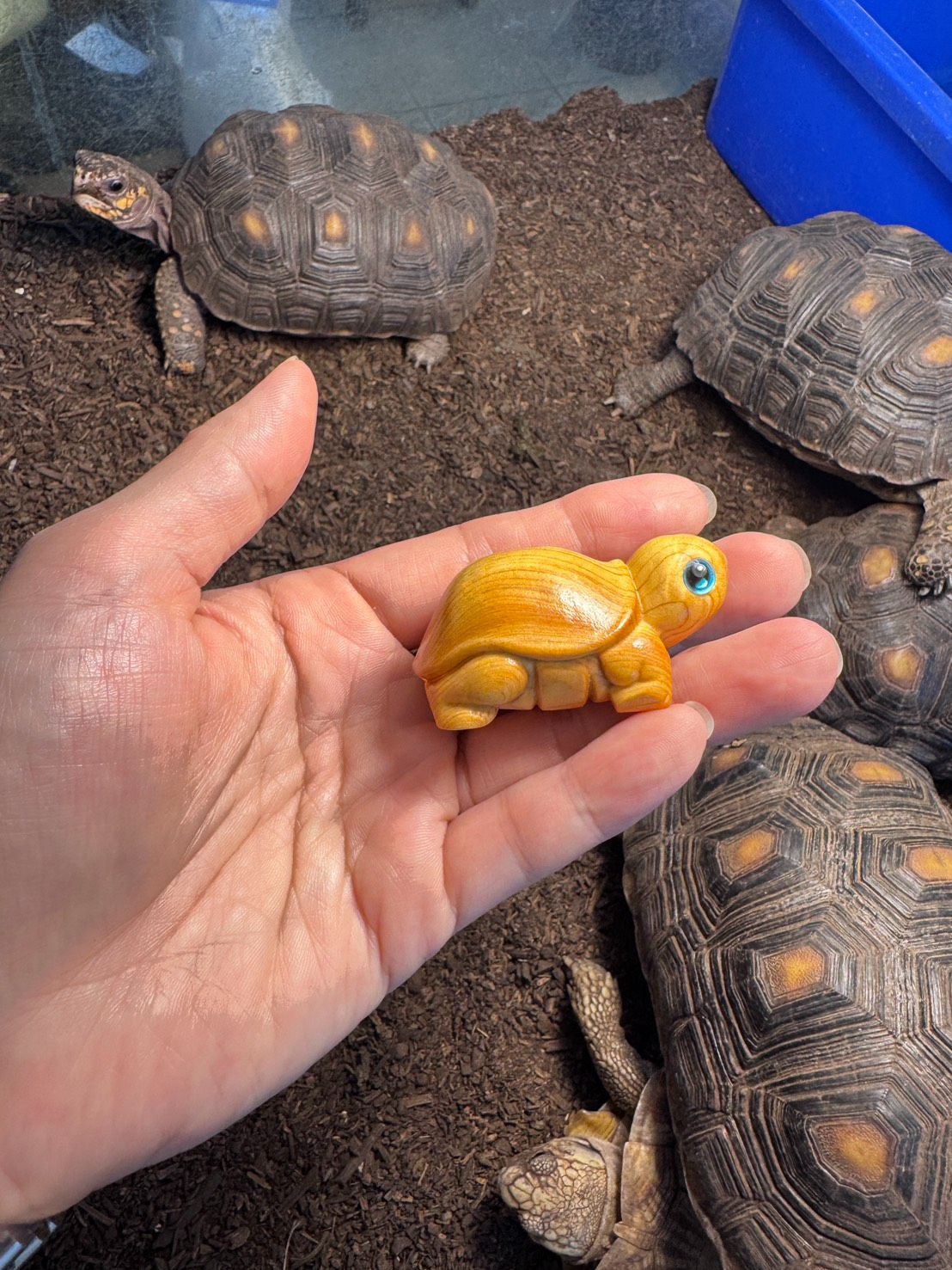 崖柏木雕小奶龜