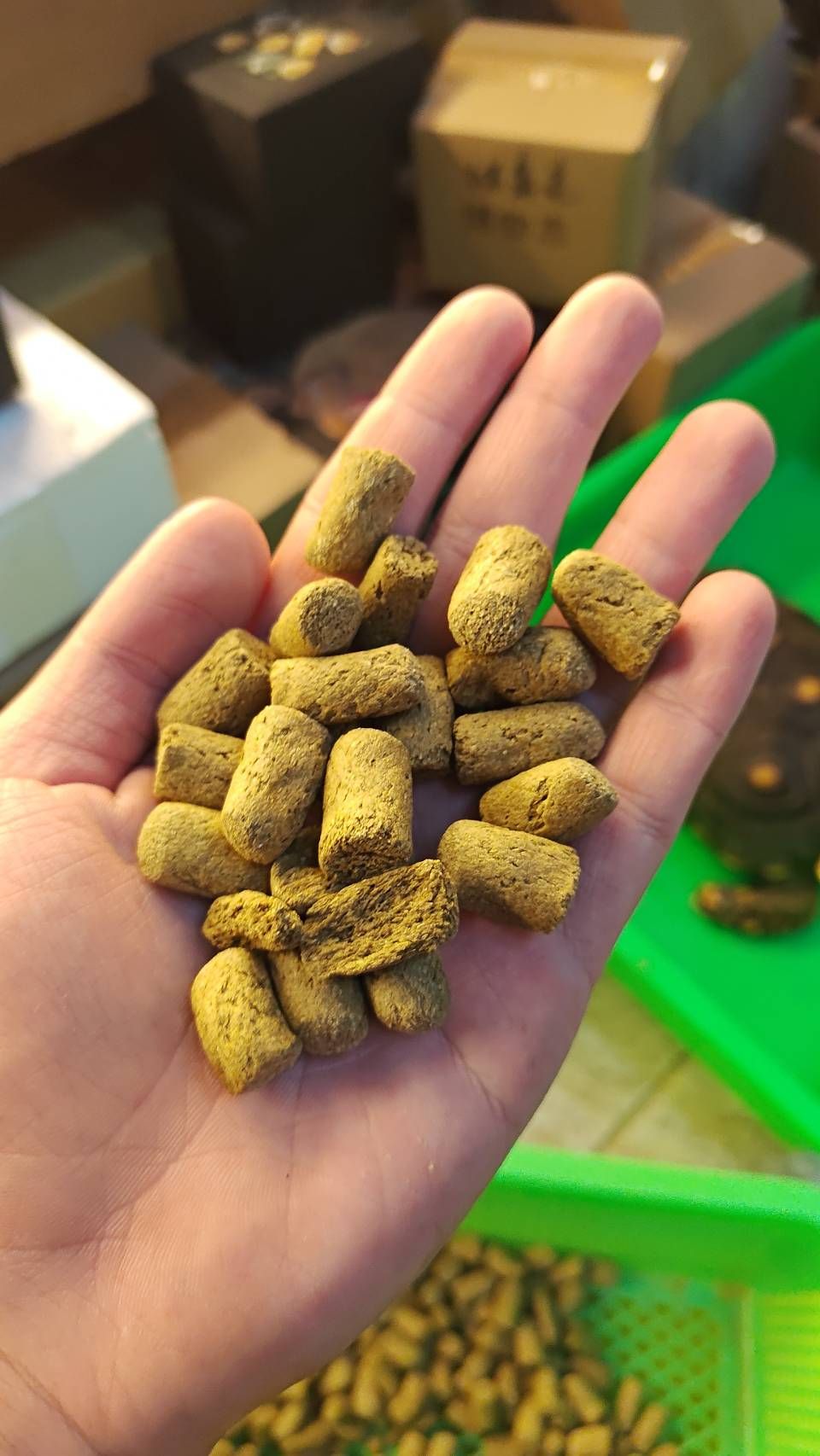 陸龜超市新上市高纖維配方飼料大饅頭適合各階段陸龜使用特別適合亞成體及成體陸龜作主食