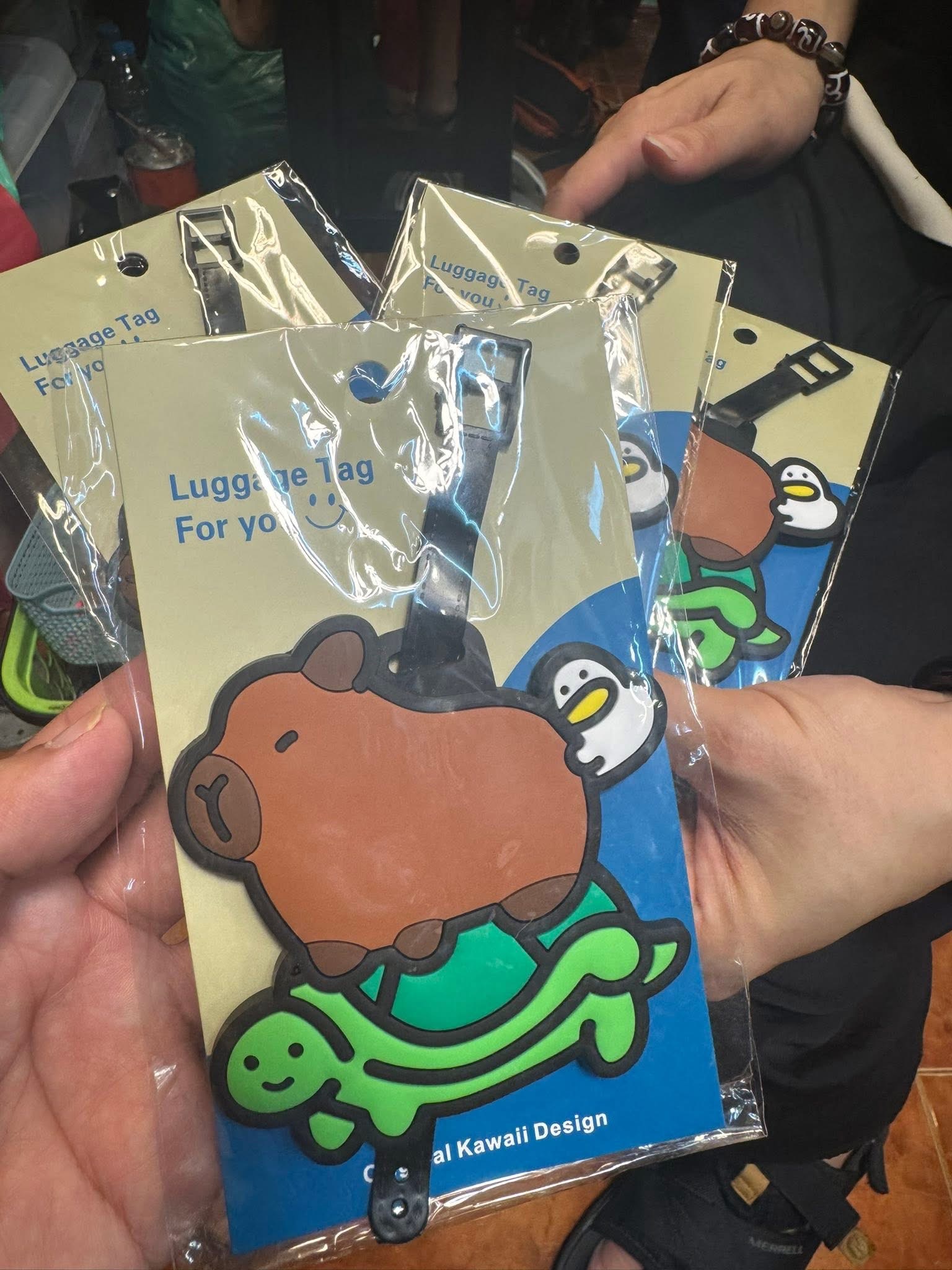 海龜揹水豚吊牌