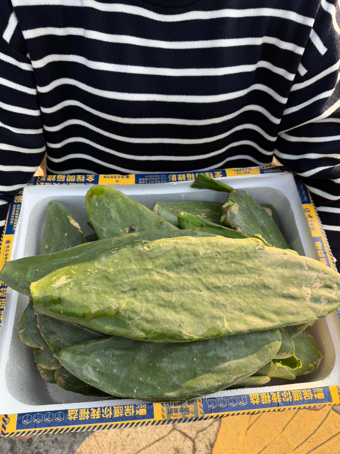 金武扇優惠組買一送一