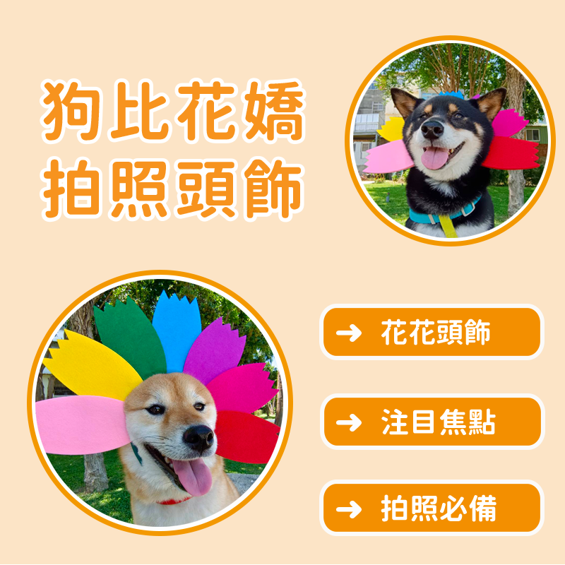 寵物花花拍照道具