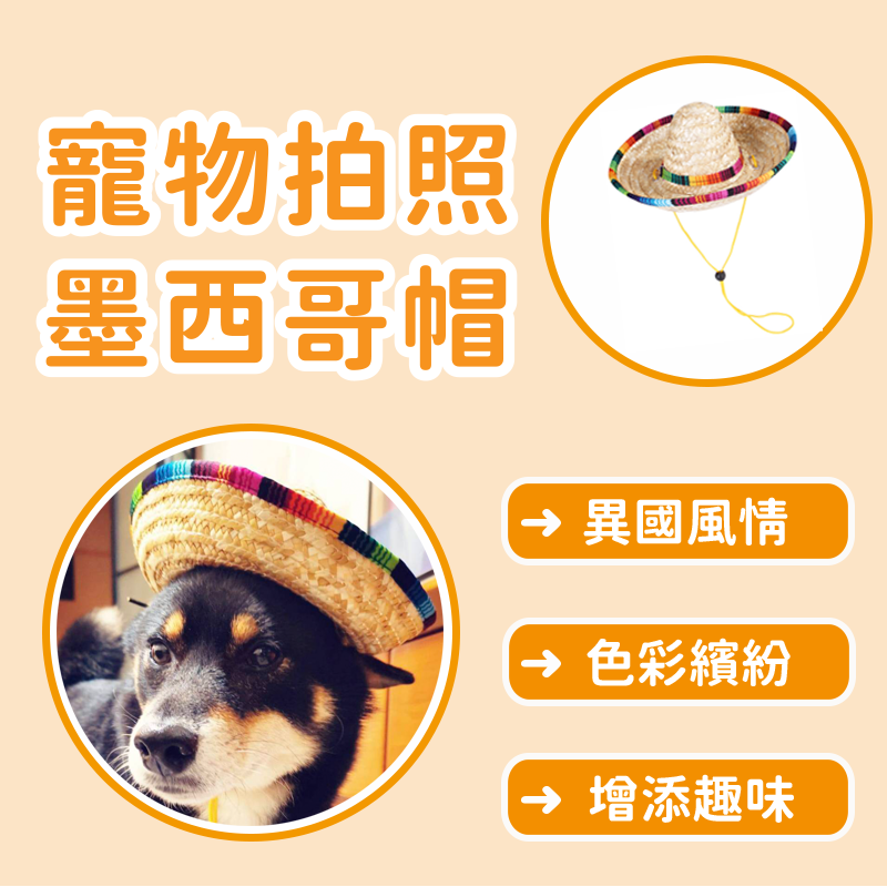 寵物拍照墨西哥帽