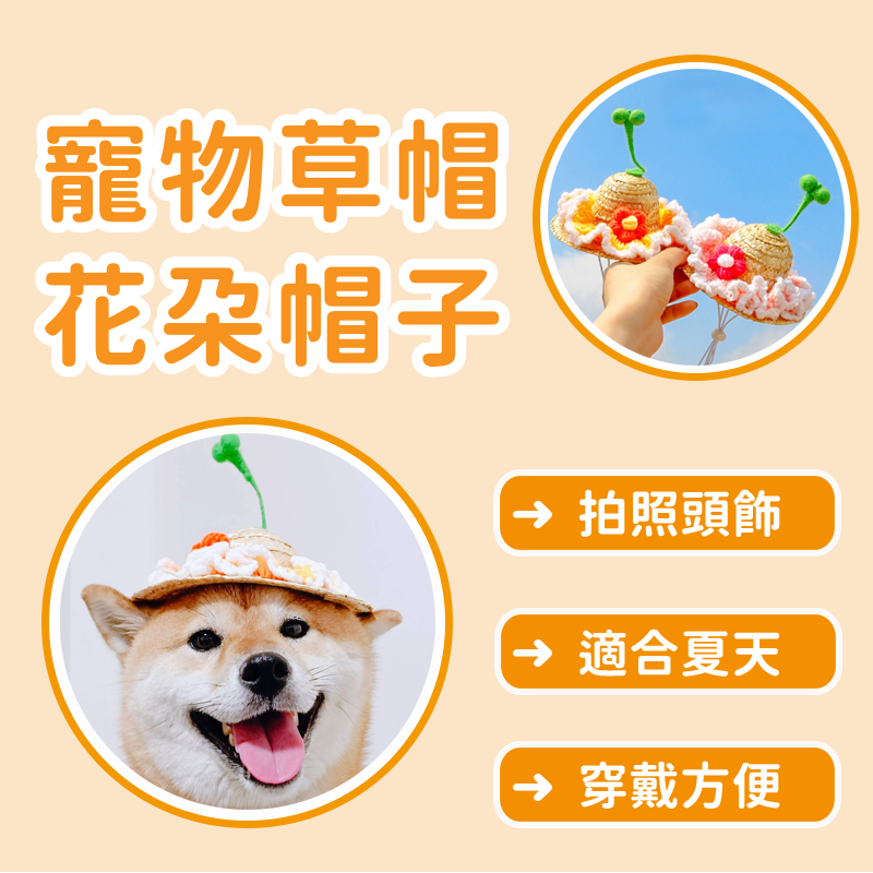 寵物草帽花朵帽子