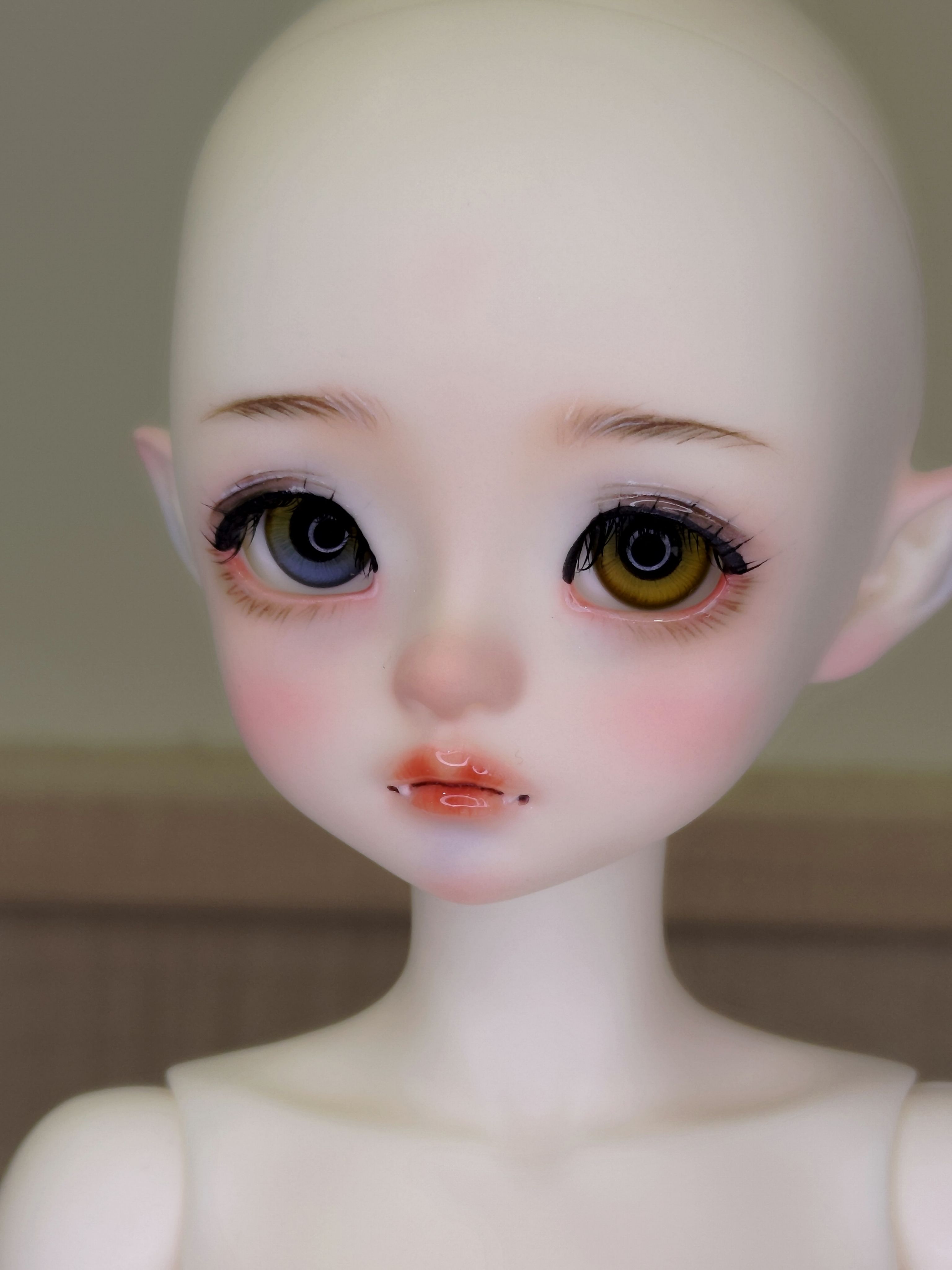 ［里親BJD-4分單頭/整體］娃島 鬼牙Loli 玫瑰白，帶妝箱證齊