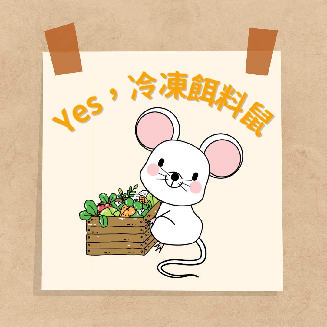 小白鼠冷凍鼠條下單區