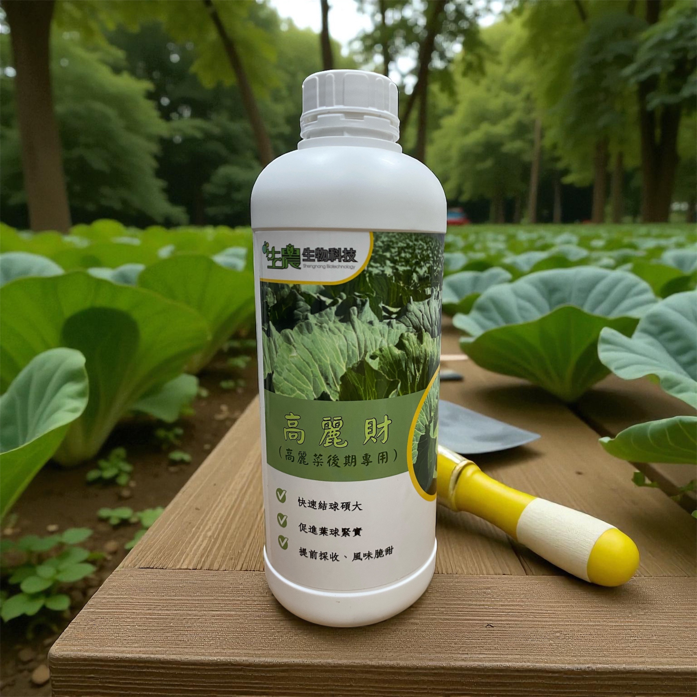 高麗財（高麗菜後期專用）