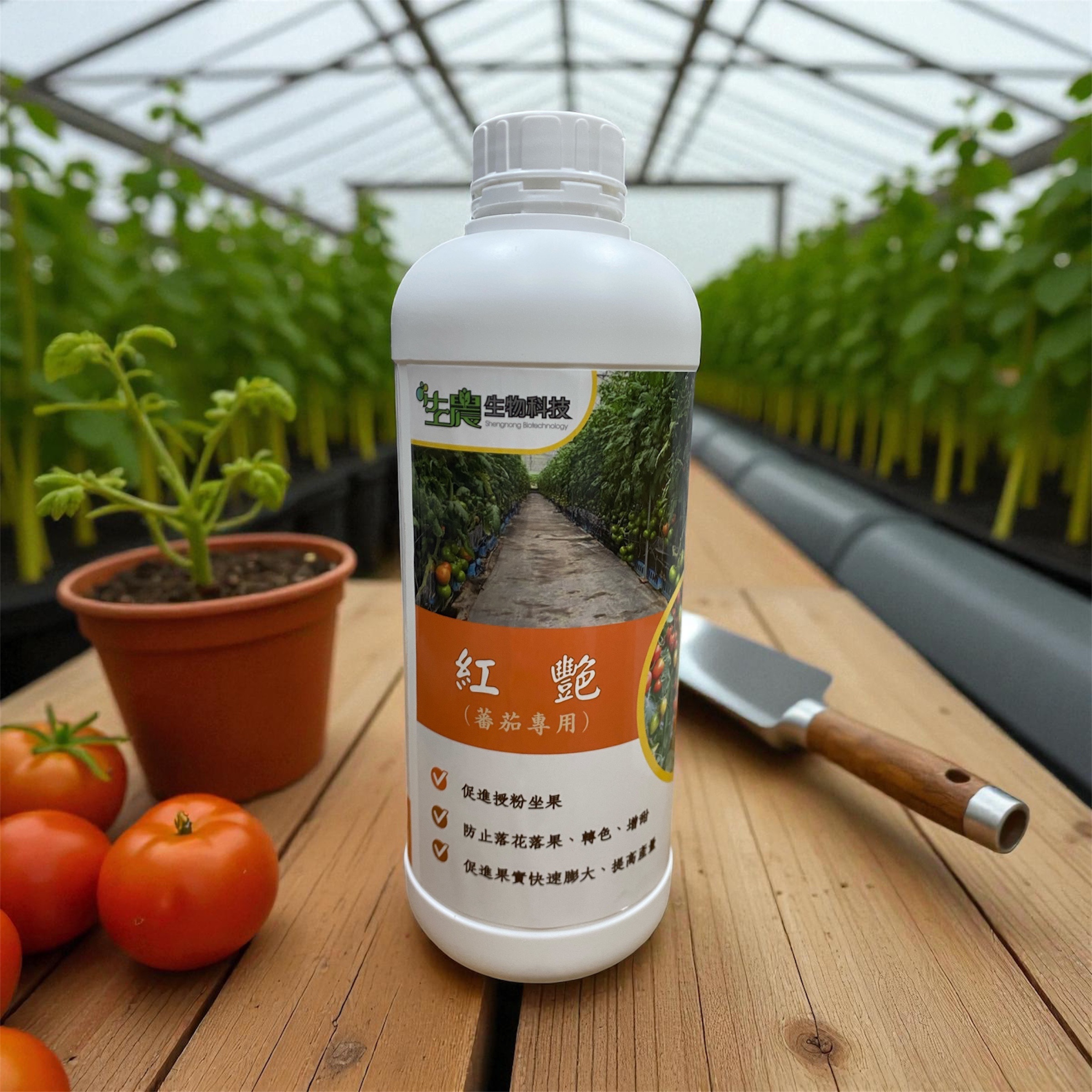 紅艷（蕃茄專用）