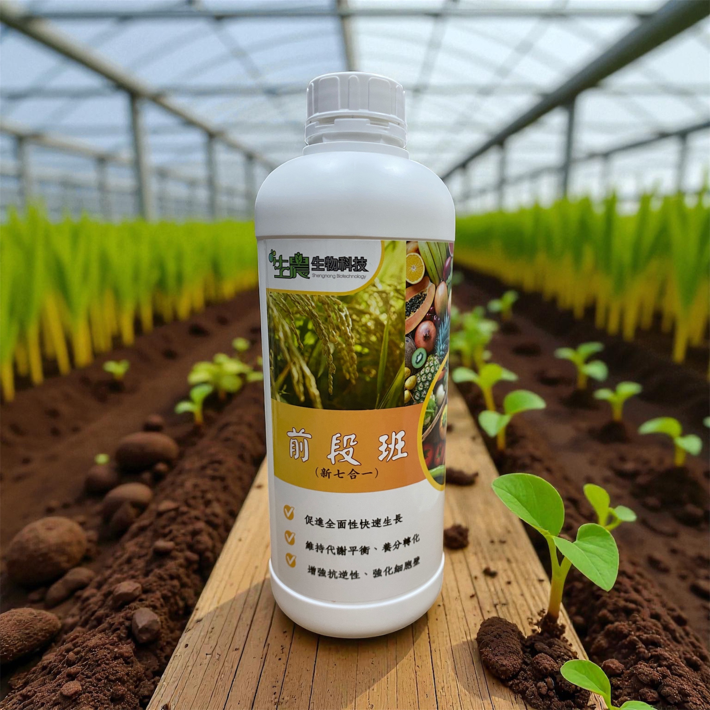 前段班（新七合一）