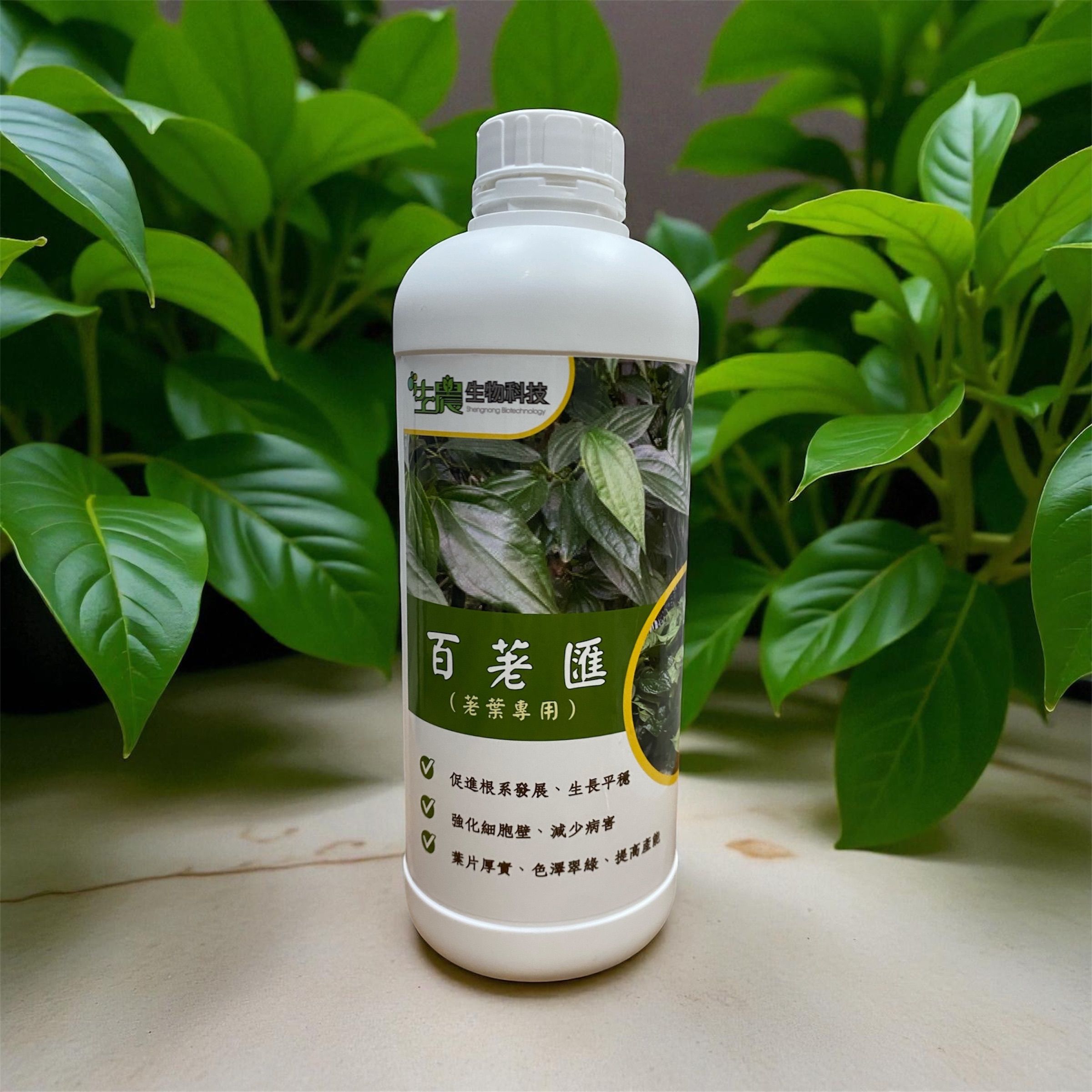 百荖匯（荖葉專用）