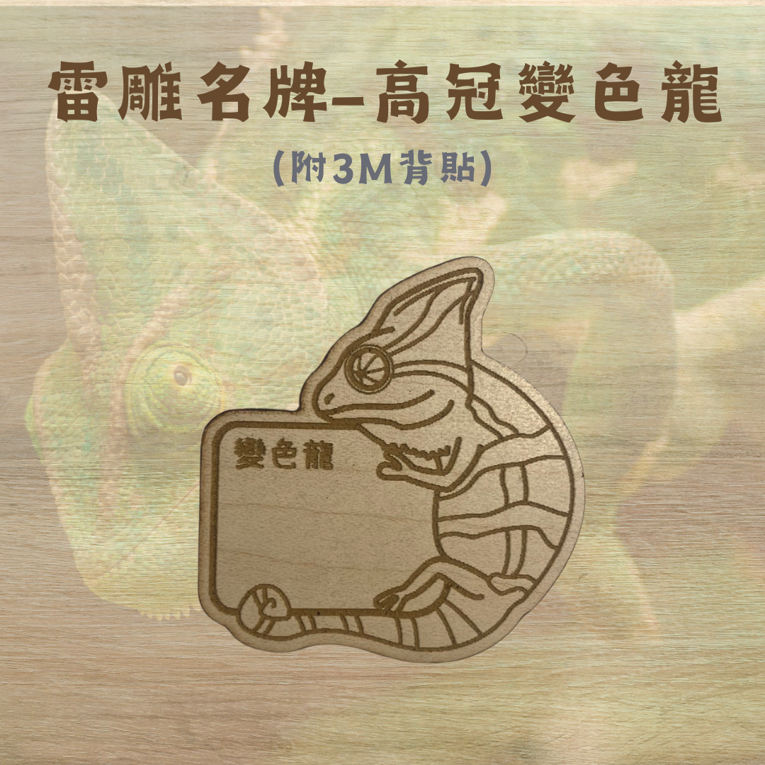 雷雕客製名牌-鱷魚、變色龍