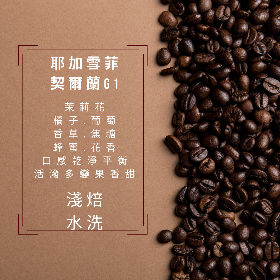 | 活動8折 | 耶加雪菲 契爾蘭G1 | 淺焙/水洗 | 單一產區臻選咖啡 | LEWA樂沃台灣