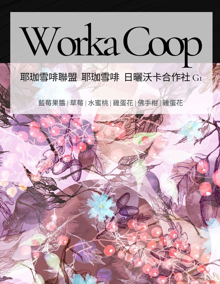 | 活動8折 |衣索比亞 日曬 沃卡合作社 G1 淺焙 | LEWA樂沃台灣