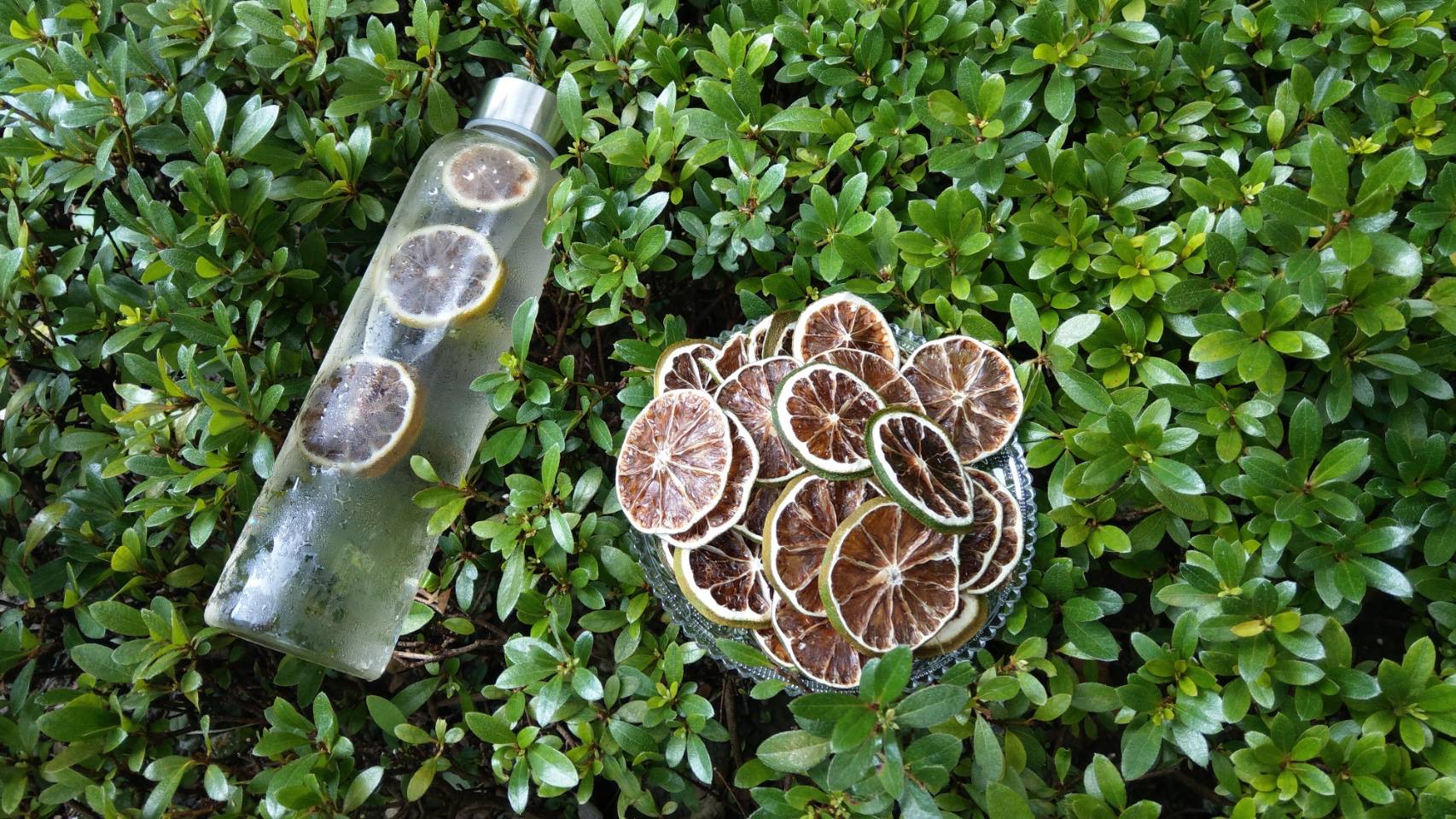 掌櫃果園-檸檬原片