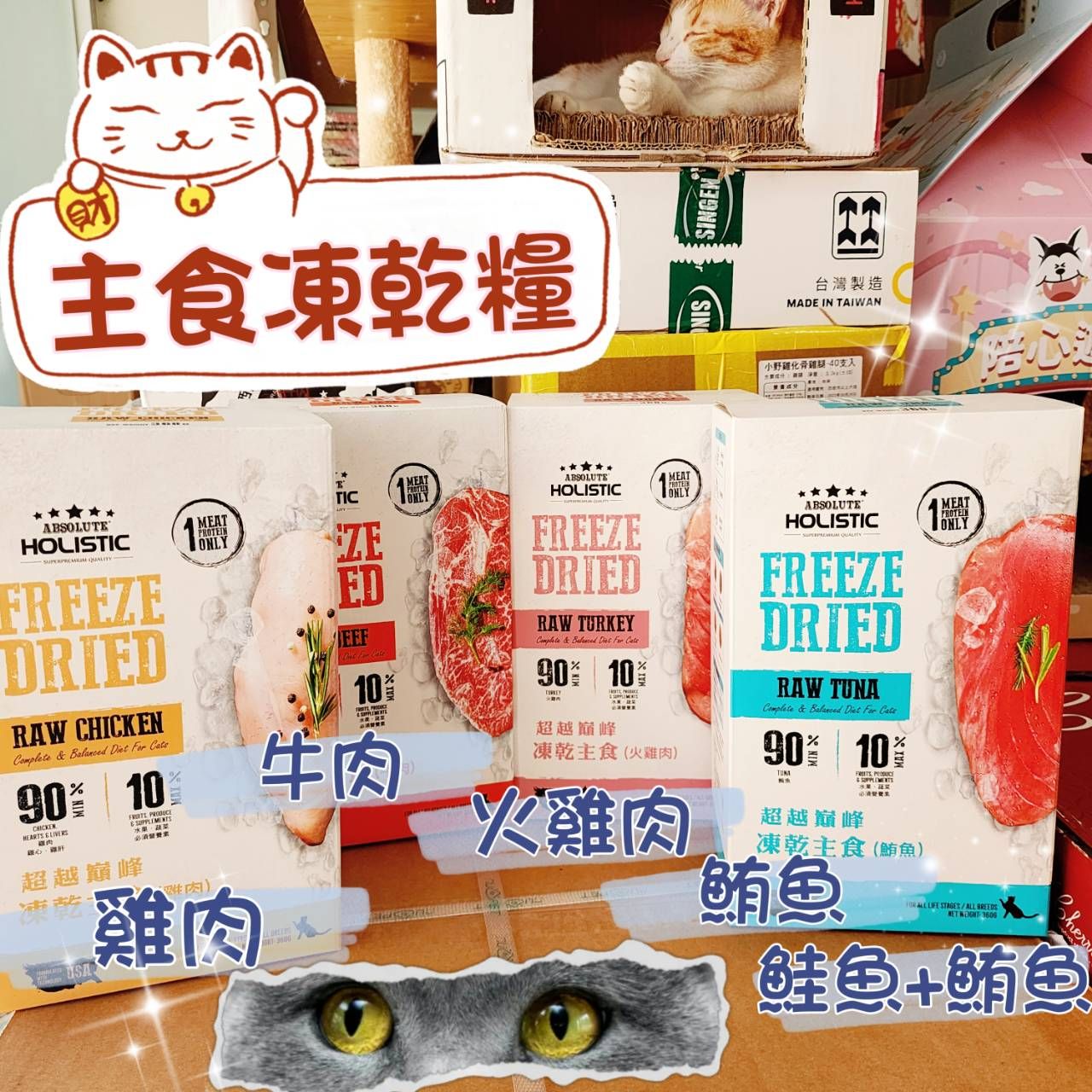 超越巔峰 乾主食糧-貓