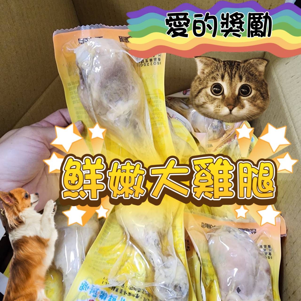愛的獎勵鮮嫩大雞腿