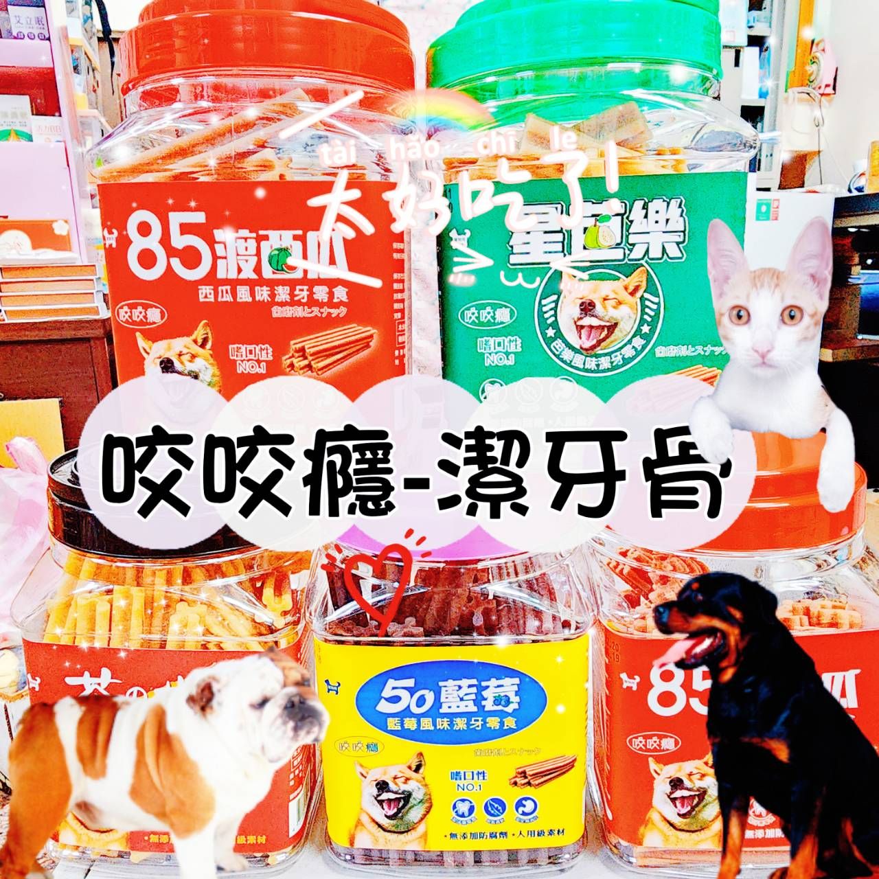 狗狗 咬癮 潔牙骨桶裝