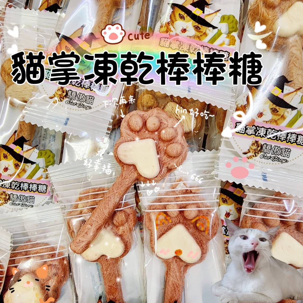 驕傲貓 貓掌凍乾棒棒糖