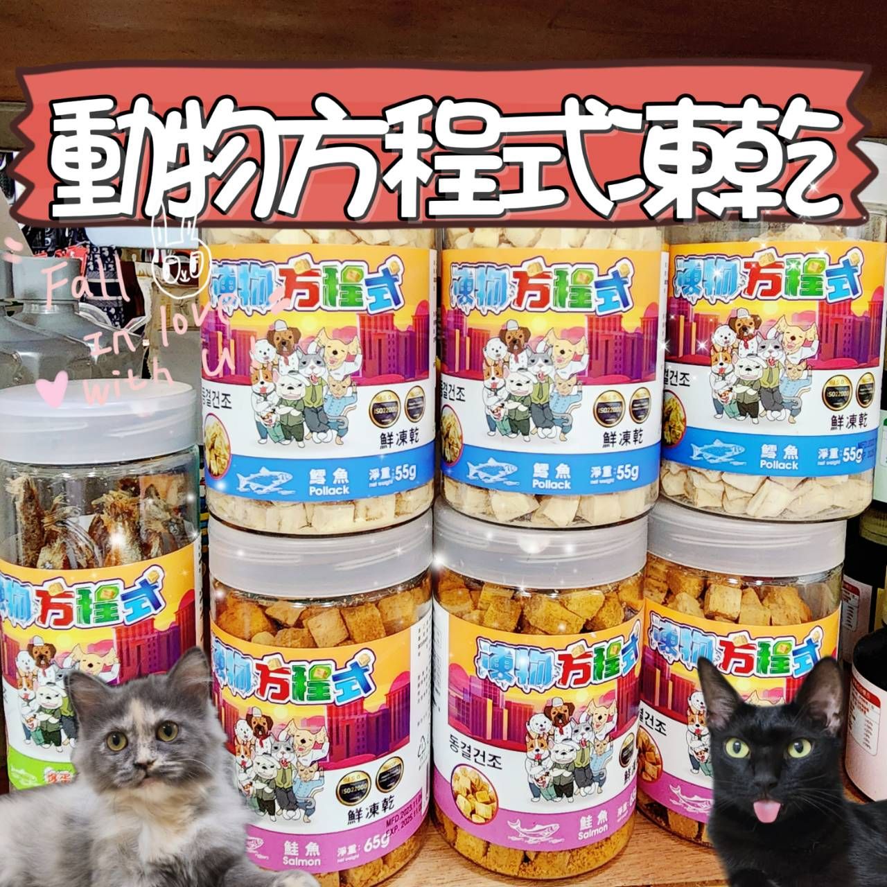 動物方程式凍乾