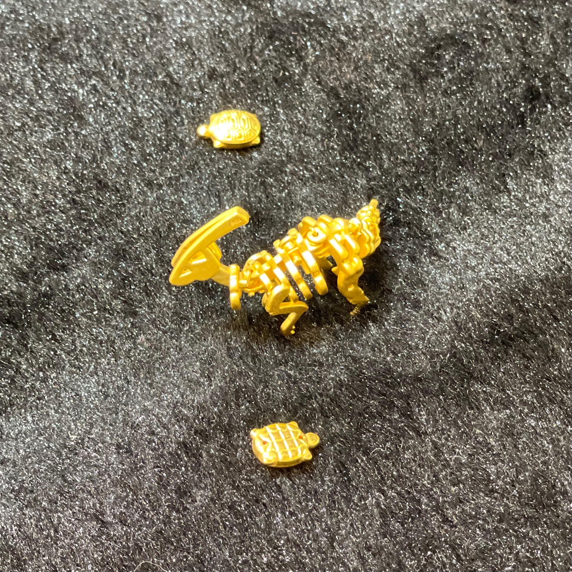 黃金副櫛龍