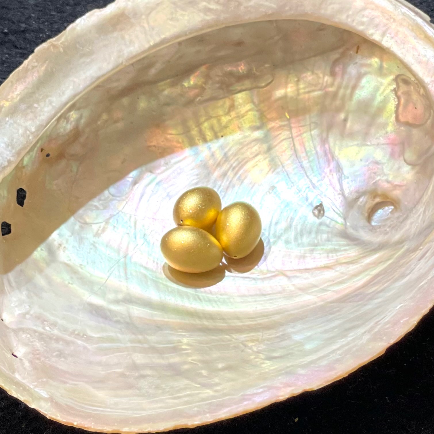 黃金金蛋