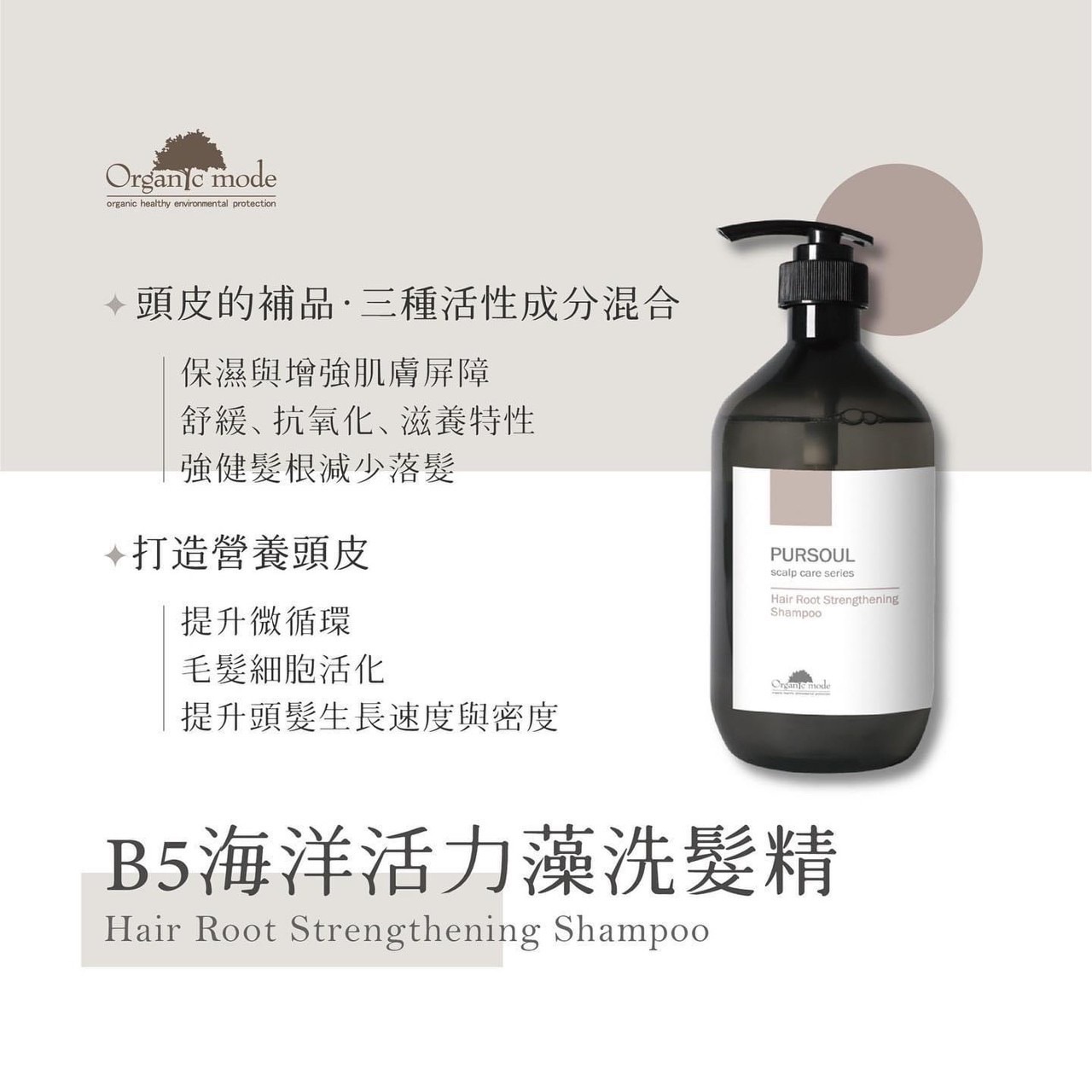 B5海洋活力藻髮浴