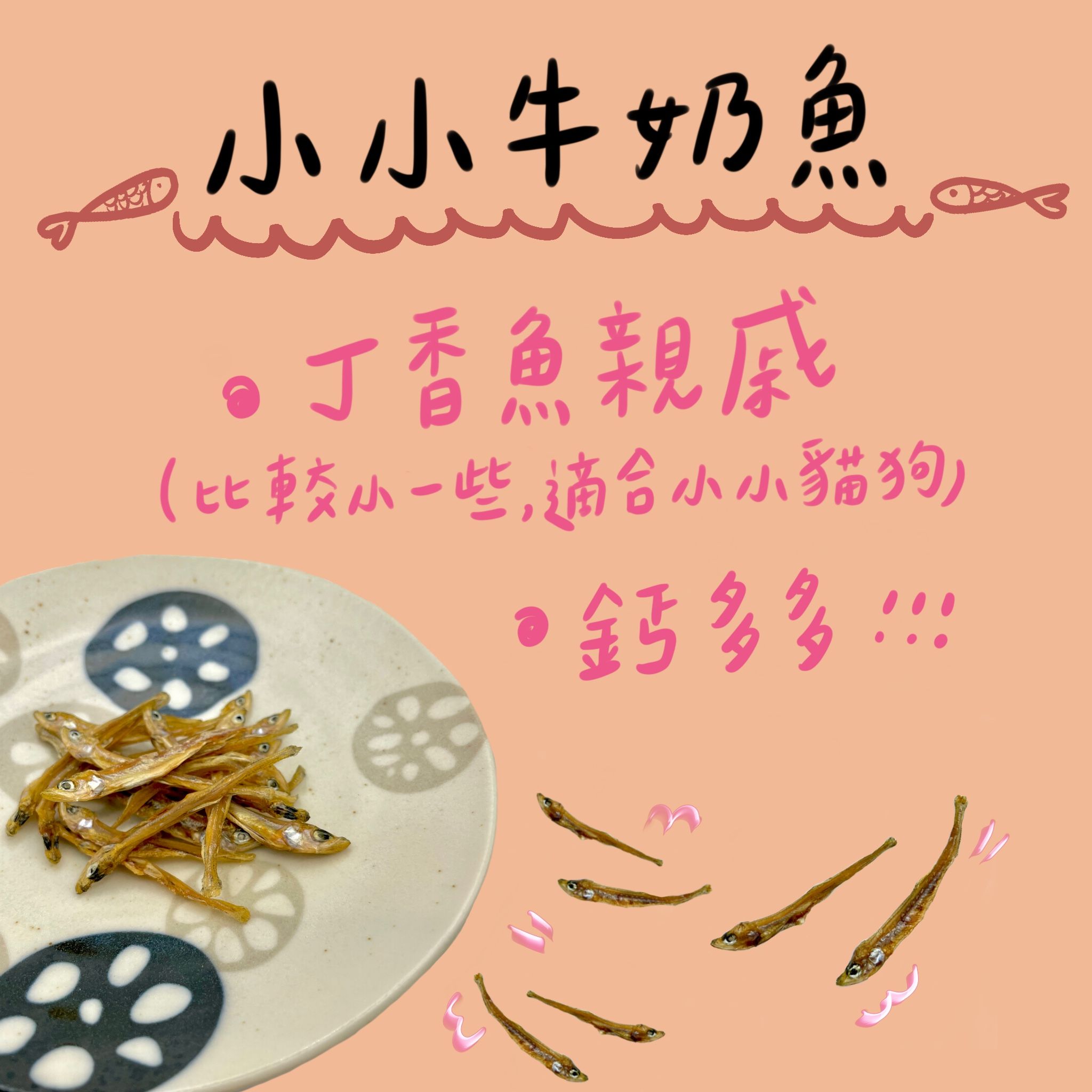 牛奶魚乾乾