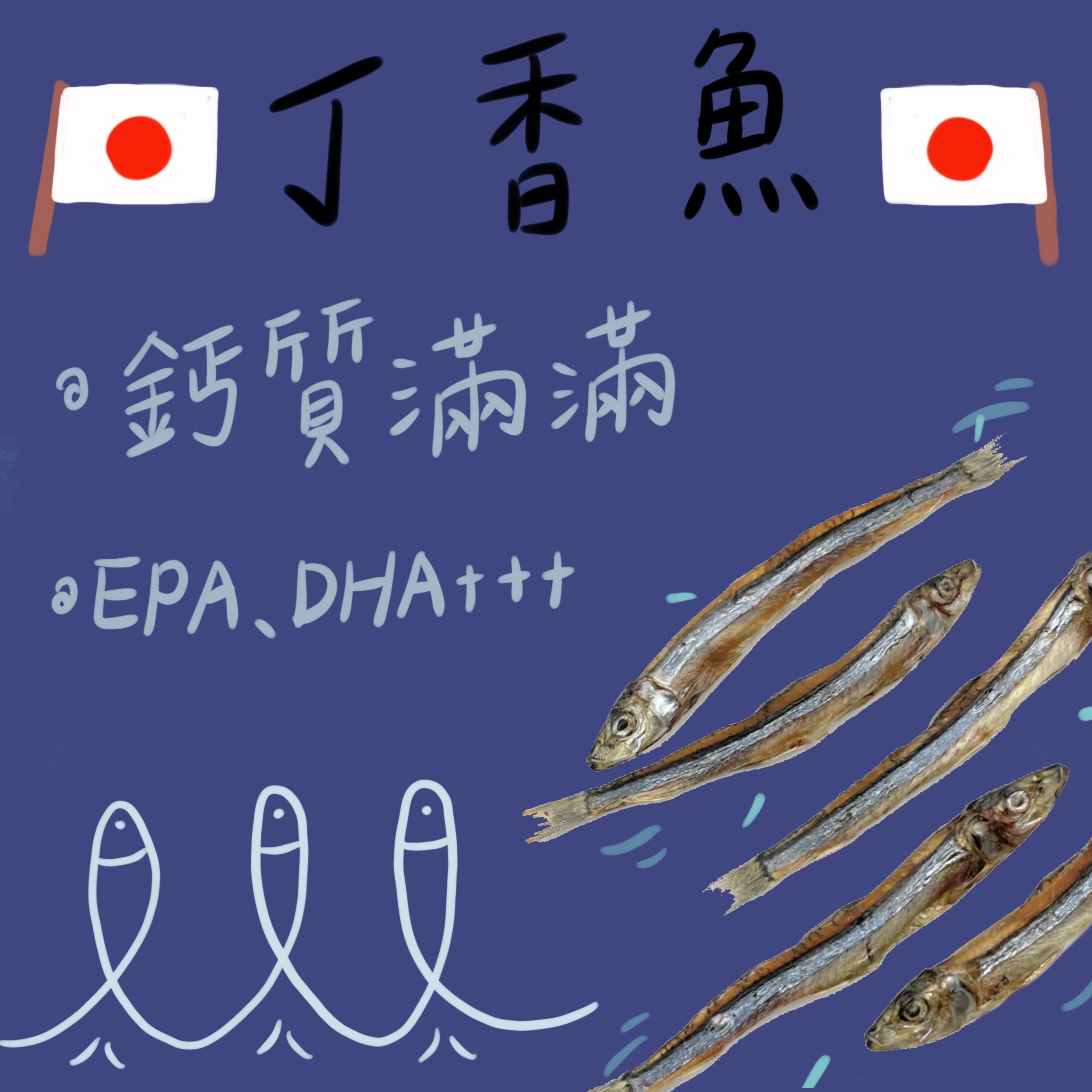 丁香魚魚