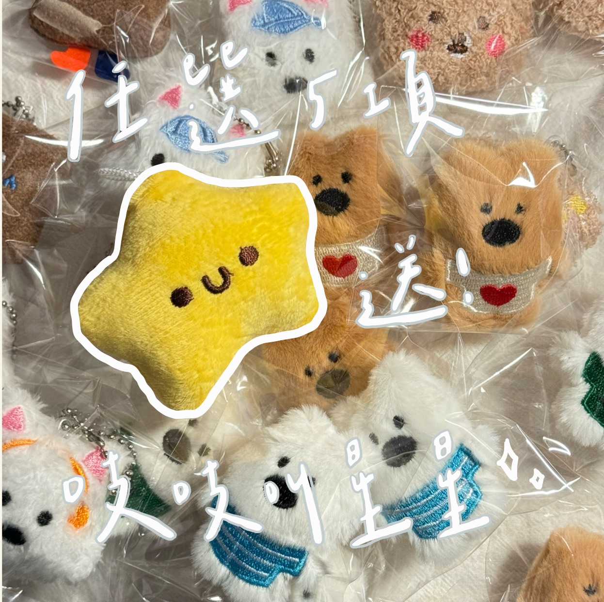 任選5樣絨毛掛件/胸針 ✨送吱吱叫星星✨（買5送1、買10送2...