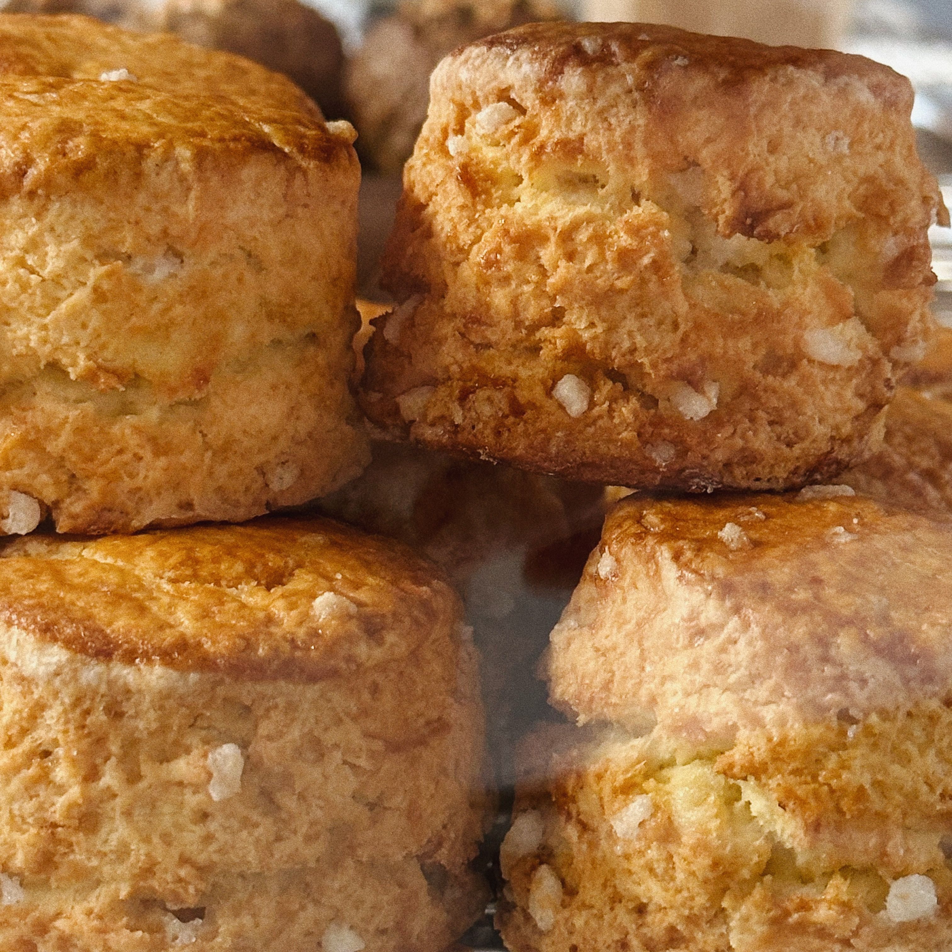 「 無包餡司康 」