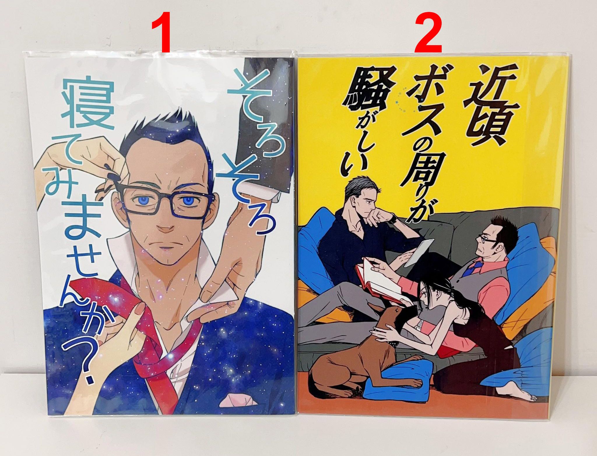 疑犯追蹤 Person of Interest 同人本 RF