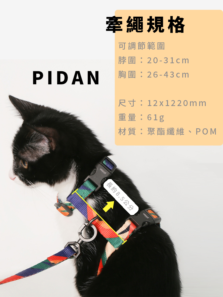 pidan 貓用牽繩 組合款 工字型胸背帶 貓咪外出 安全牽繩 貓咪散步