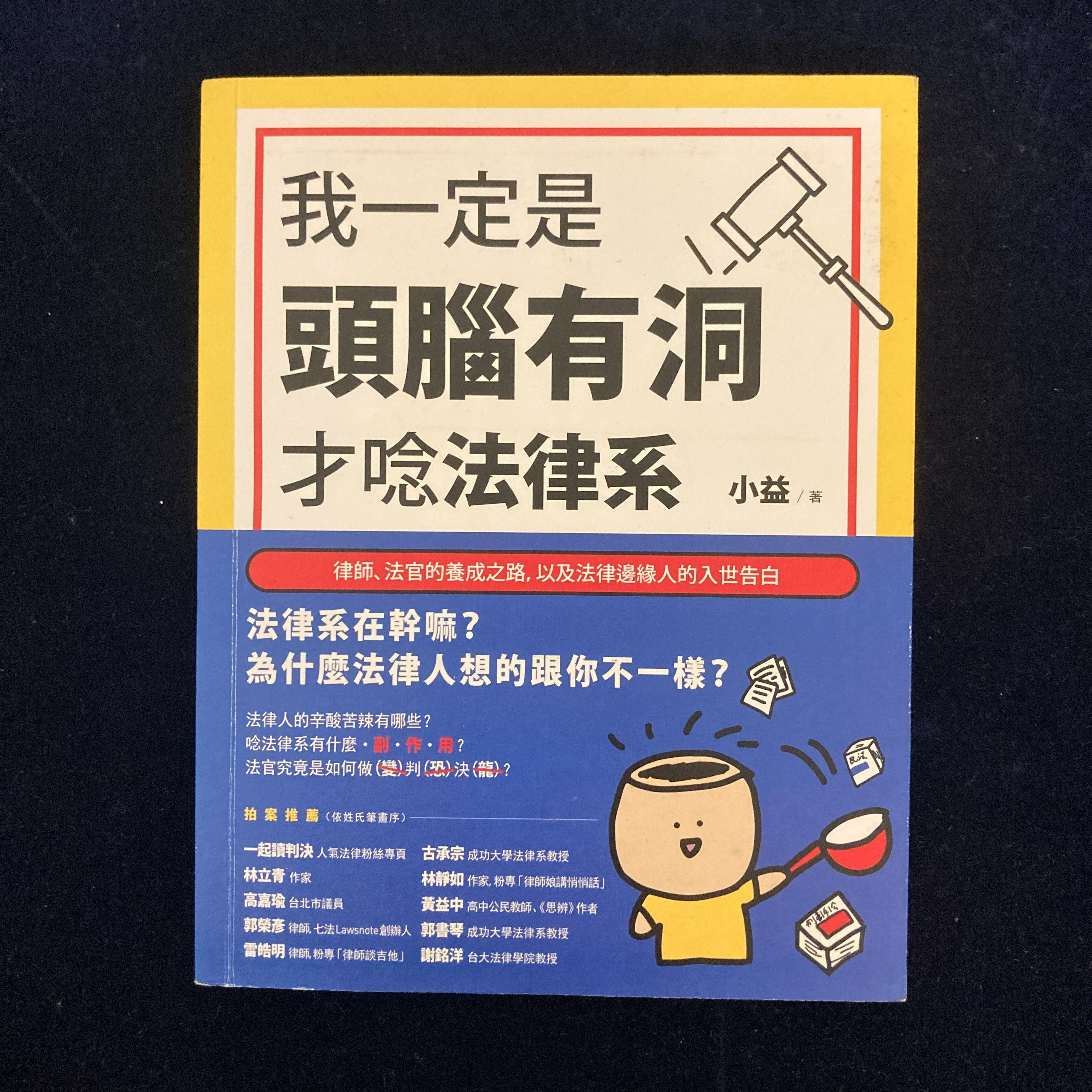 我一定是頭腦有洞，才唸法律系：律師、法官的養成之路，以及法律邊緣人的入世告白-書況極新原價320