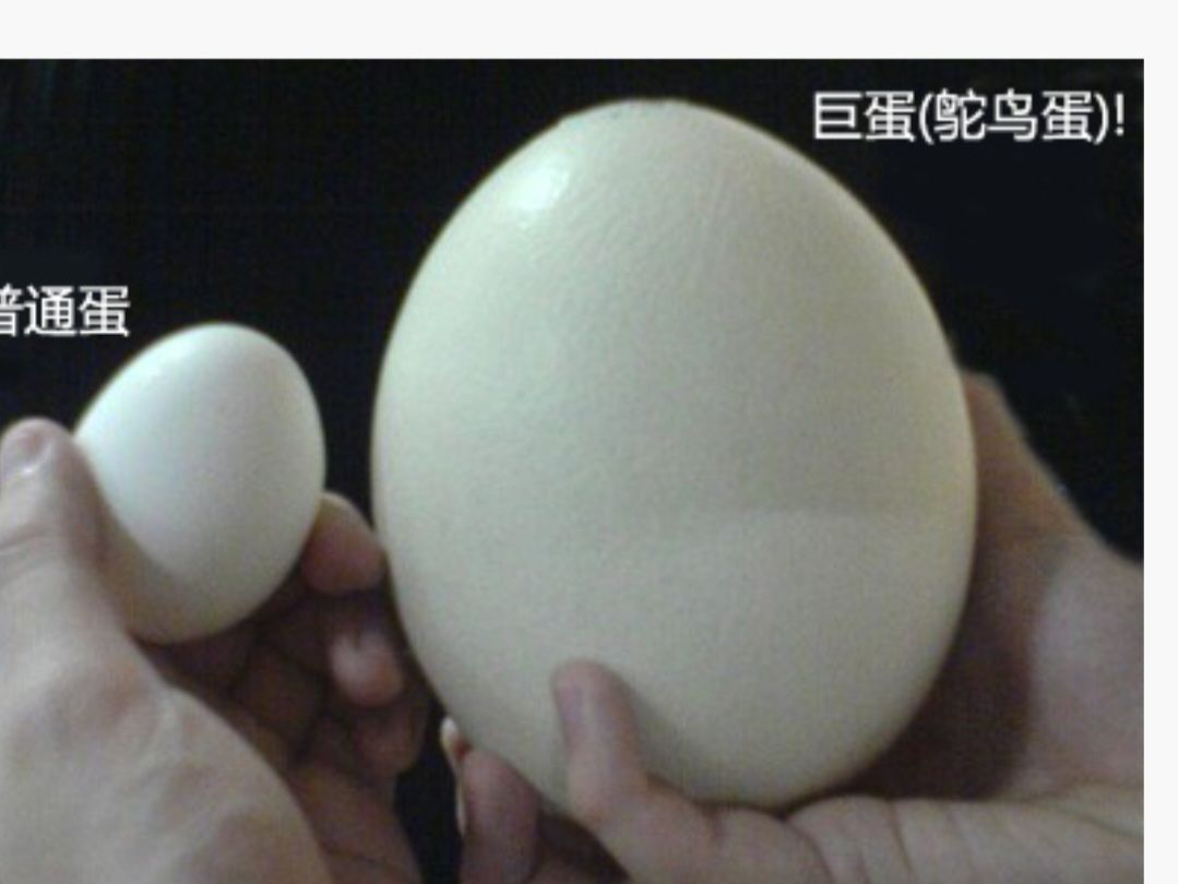 鴕鳥蛋因產量有限只能買三顆0986015918Linr id號a0979750966