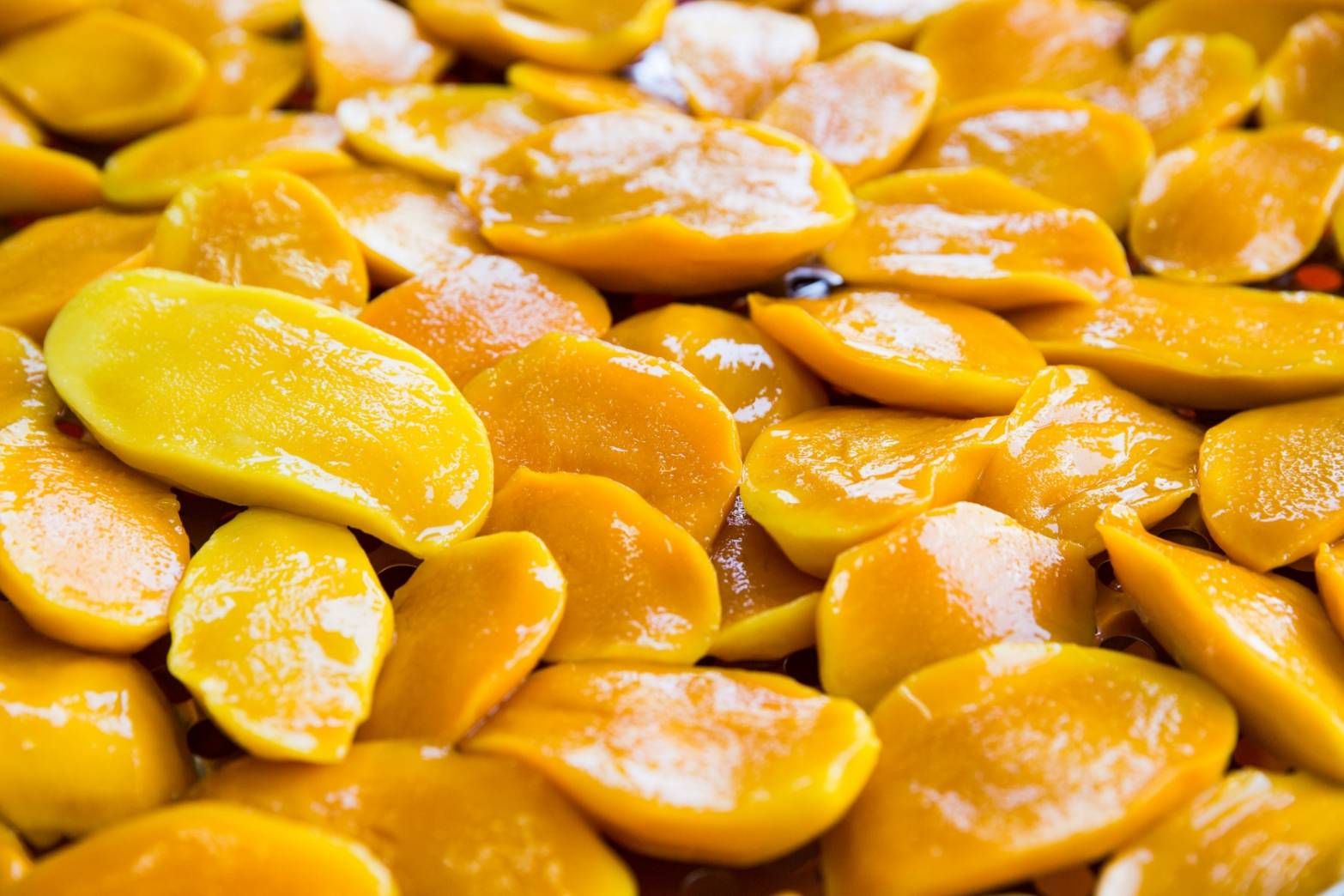 無糖果乾 小金煌芒果乾