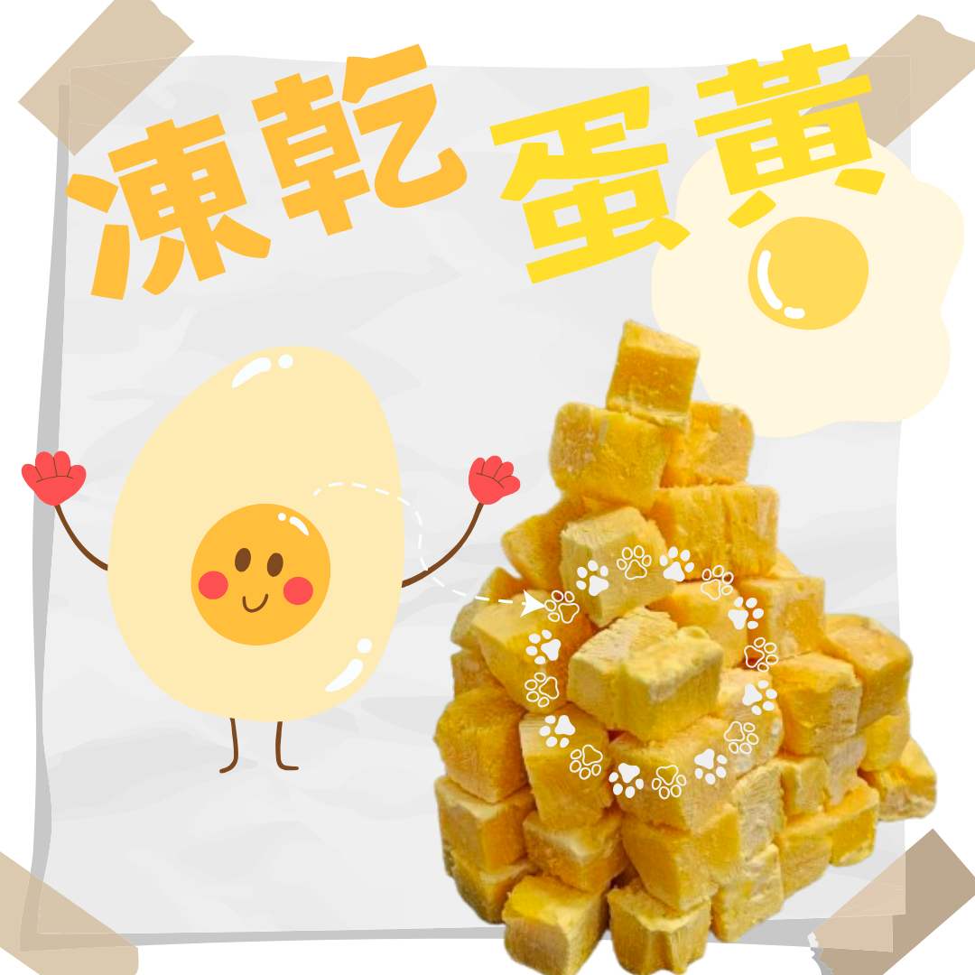 凍乾蛋黃 天然卵磷脂 維生素 寵物排毛 幫助消化 豐富營養 零食 寵物凍乾 凍乾零食 犬貓佐食 保留營養 DM小舖