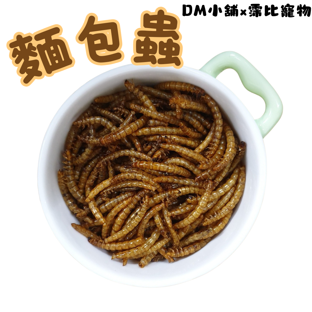 高蛋白 蟲乾 麵包蟲乾 零食 點心 100%乾燥麵包蟲 分裝 小動物 倉鼠零食 黃金鼠 刺蝟 一線鼠 三線鼠 老公公