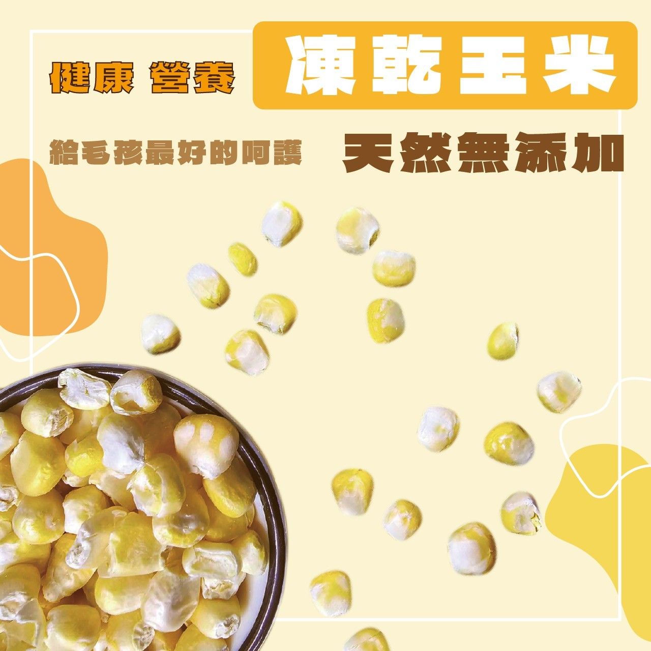 凍乾玉米 乾燥玉米 冷凍乾燥玉米 玉米 天然 分裝 倉鼠零食 黃金鼠寵物零食一線天竺鼠蜜袋鼯 DM小舖