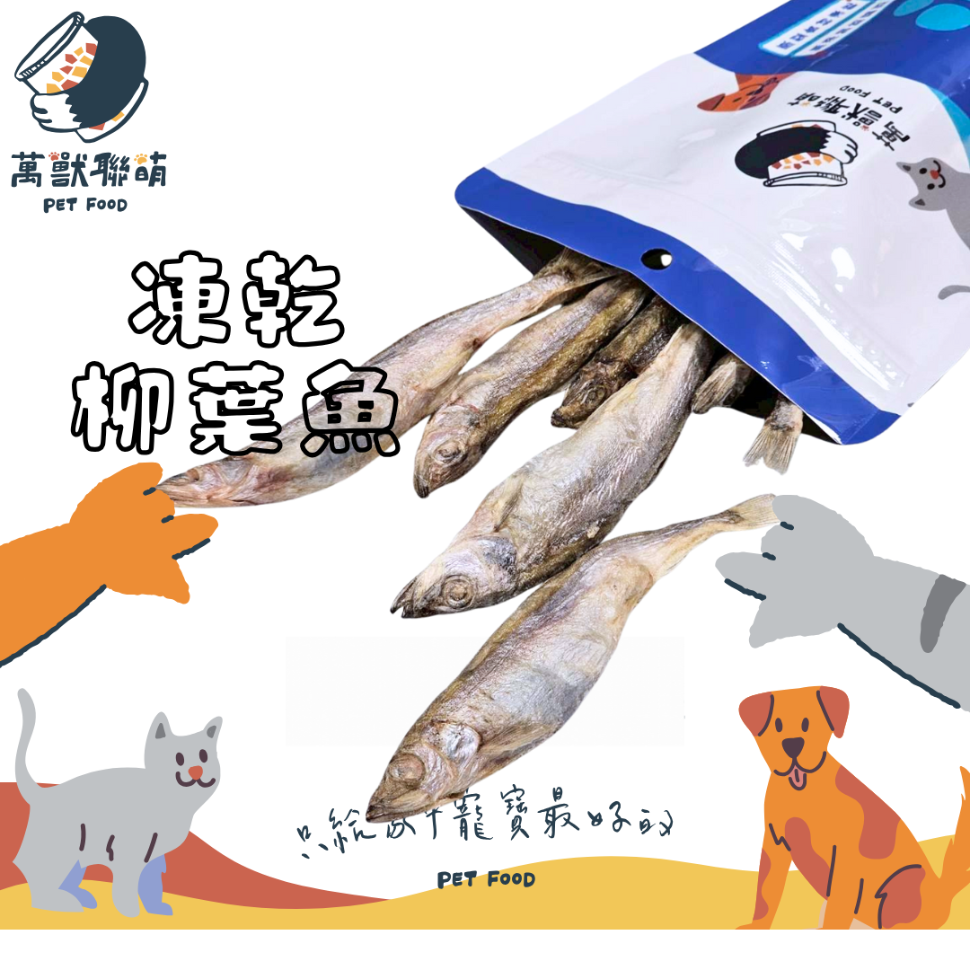 萬獸聯萌｜現貨 天然冷凍乾燥 凍乾海鮮 凍乾柳葉魚 寵物零食 寵物凍乾 凍乾零食 貓零食 狗零食 貓凍乾 DM＆霈比寵物