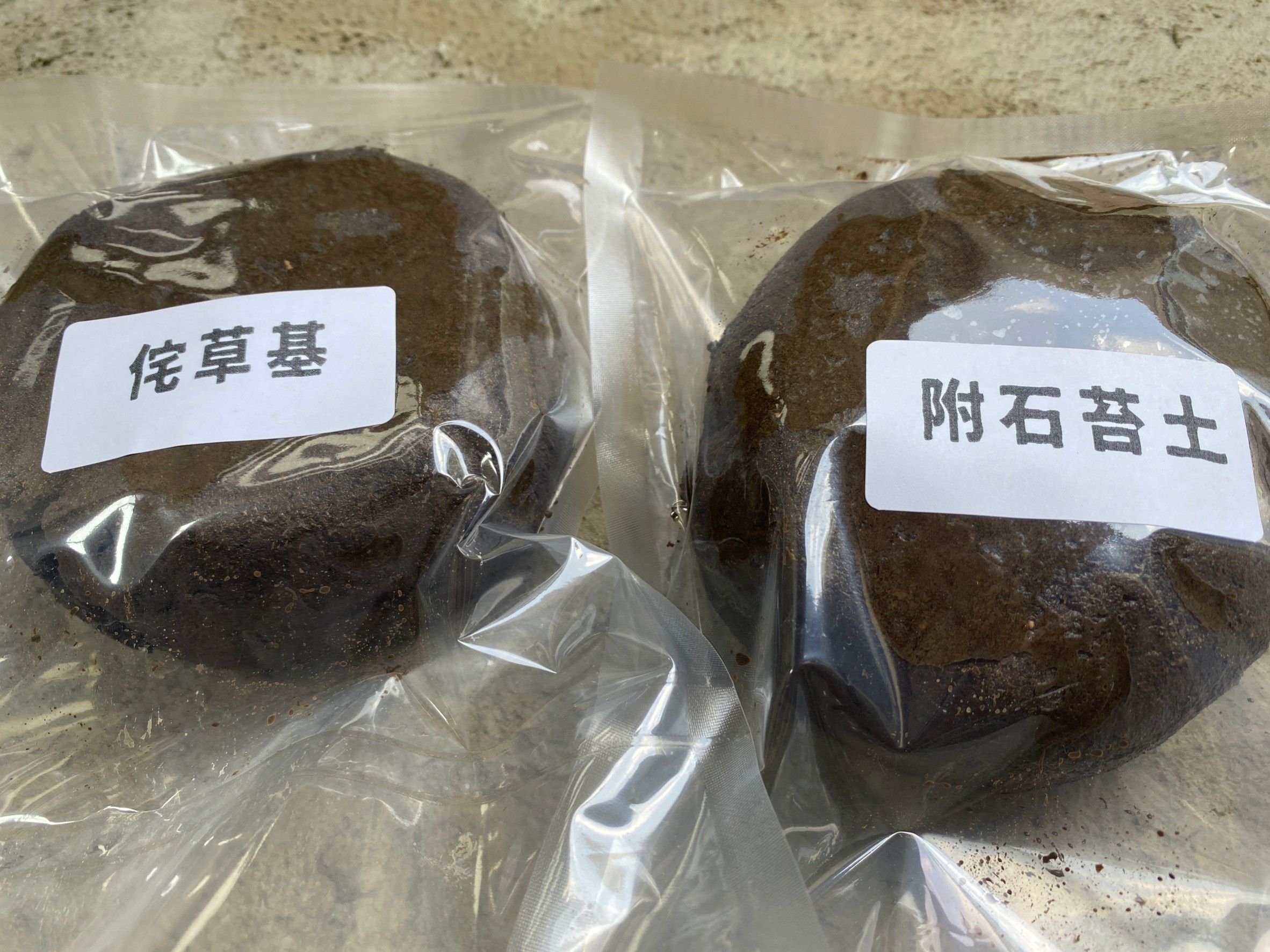 侘草基 .附石苔土