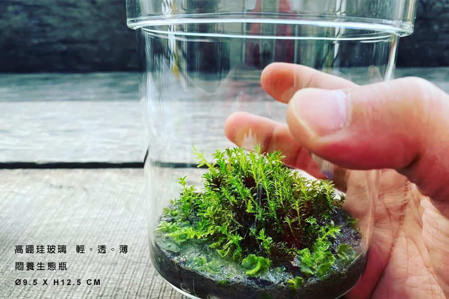 迷你生態悶養瓶