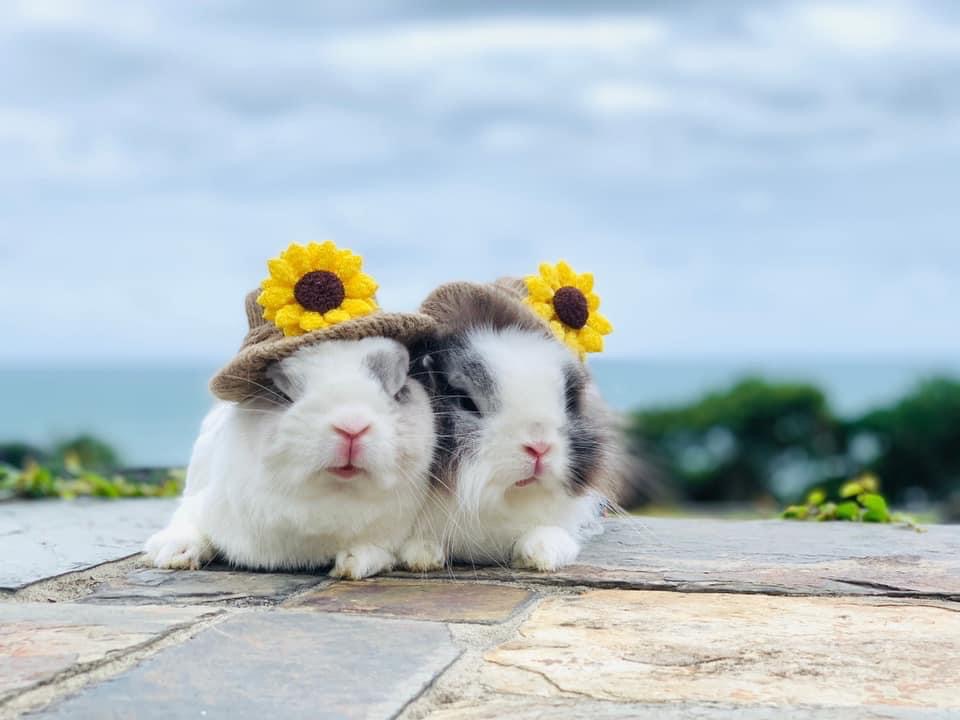 《現貨》手工製作向日葵草帽