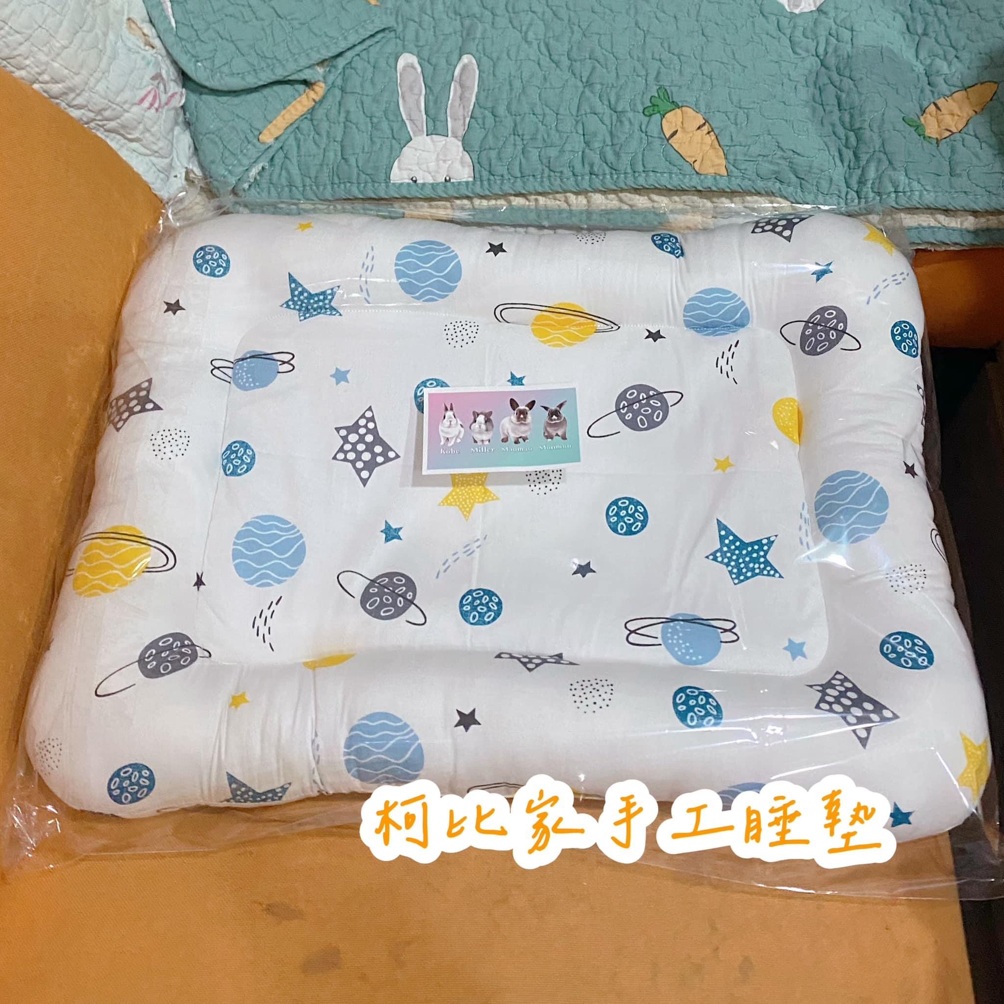 《現貨》方形睡墊