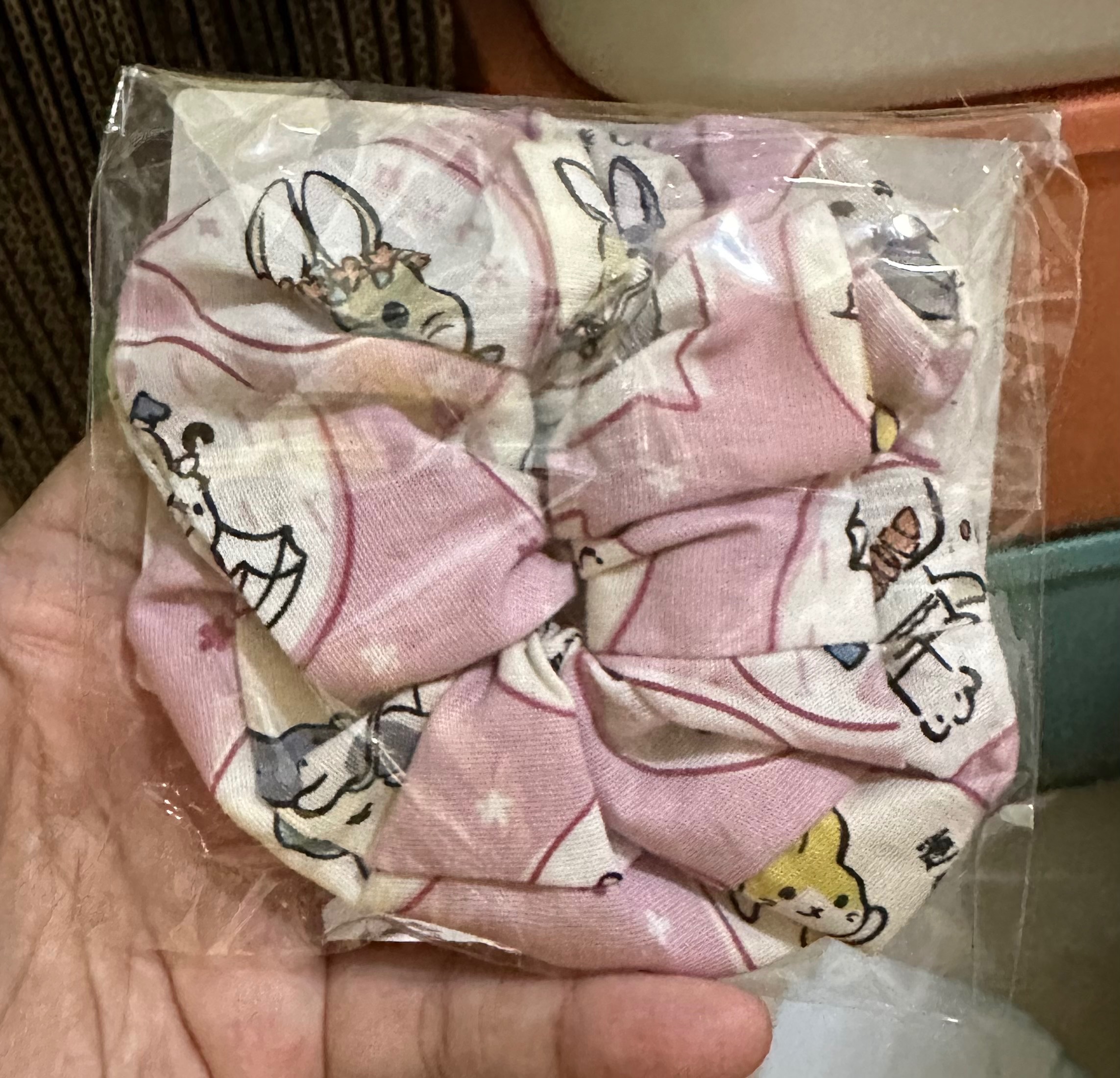 義賣 人類用-大腸髮圈