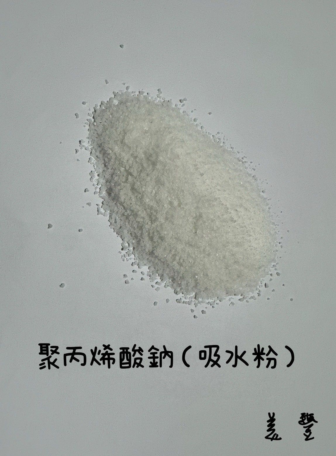 聚丙烯酸鈉 吸水粉 100g 500g 1kg