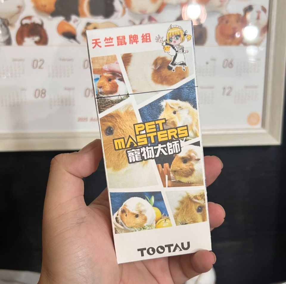 寵物大師 TCG 寵物卡牌桌遊